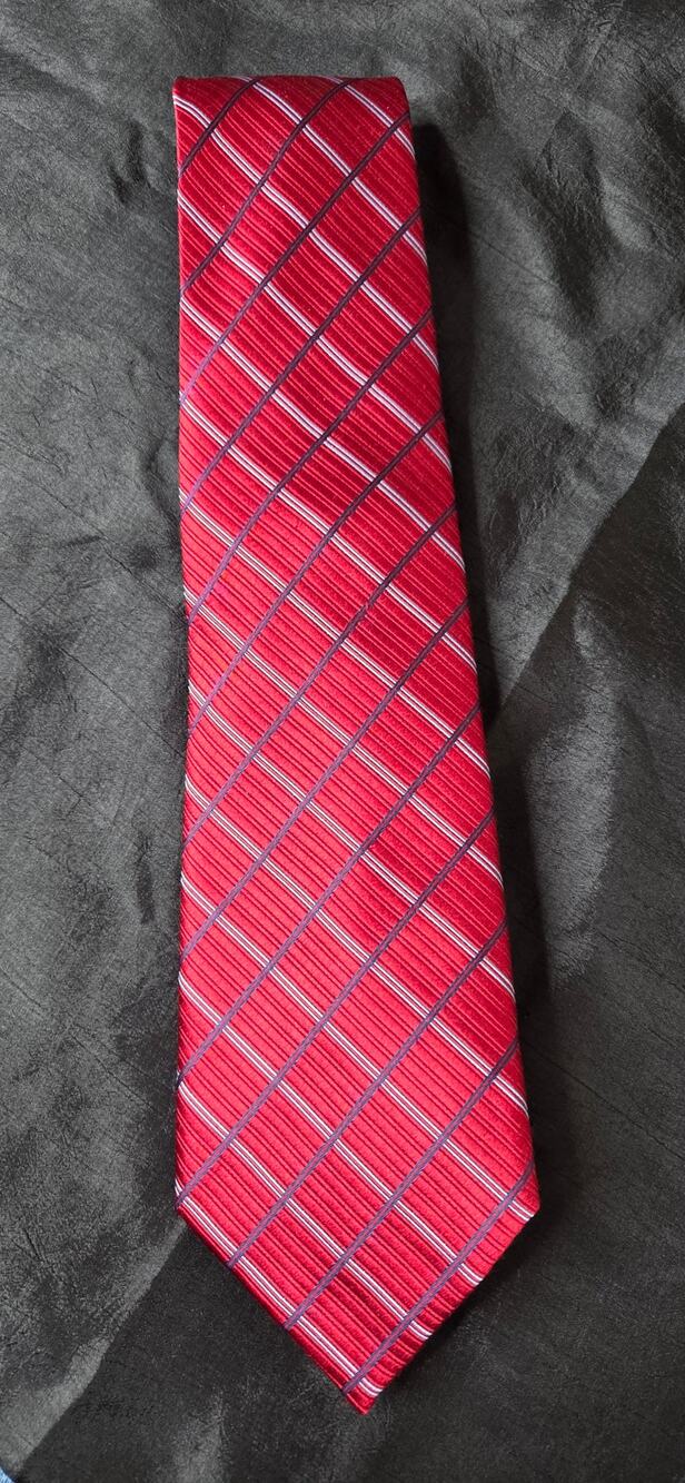 Eagle Shirtmakers Mens Silk Tie